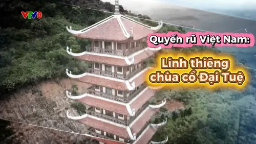 Quyến rũ Việt Nam: Linh thiêng chùa cổ Đại Tuệ