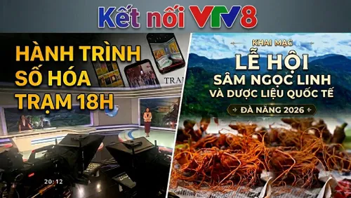 Kết nối VTV8 số 25: Hành trình số hóa "Trạm 18h" & Hậu trường Lễ hội sâm Ngọc Linh 2026