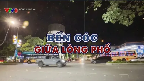 Tiêu điểm: Bến cóc giữa lòng phố  