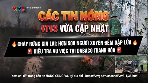 Cập nhật Nóng Cùng V8 : Cháy rừng phòng hộ dữ dội tại Gia Lai