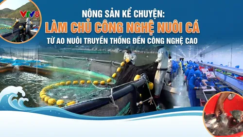 Nông sản kể chuyện: Làm chủ công nghệ nuôi cá