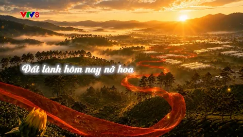 Trường Sơn Đông gọi Trường Sơn Tây: Đất lành nở hoa 