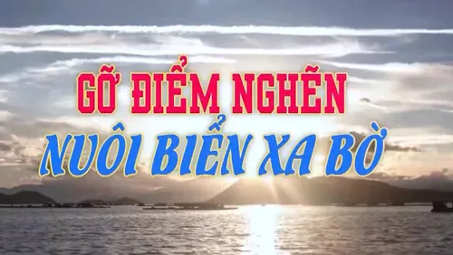 Tiêu điểm: Gỡ điểm nghẽn nuôi biển xa bờ  