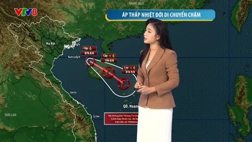 Thời tiết 08/08/2026: Áp thấp nhiệt đới di chuyển chậm. Đề phòng mưa dông, sóng biển cao 1,5-2,5m