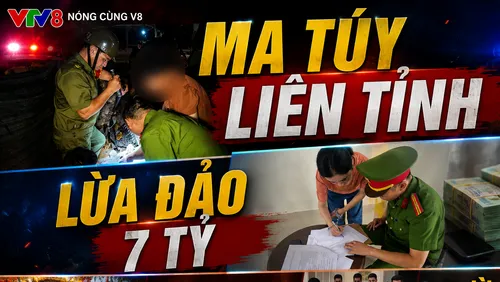 🚨 BÓC GỠ ĐƯỜNG DÂY MA TÚY LIÊN TỈNH, LỘ THỦ ĐOẠN LỪA ĐẢO HÀNG TỶ ĐỒNG
