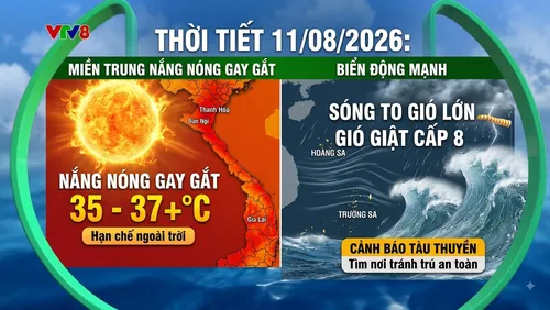 Thời tiết 11/08/2026: Miền Trung nắng nóng gay gắt, biển Đông sóng to gió lớn