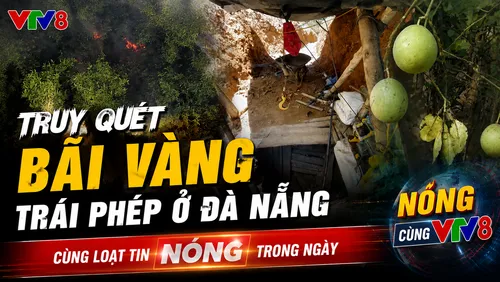 Truy quét bãi vàng trái phép ở Đà Nẵng cùng loạt tin nóng trong ngày