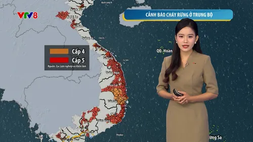 Trung Bộ nắng nóng kéo dài, gần 400 điểm cảnh báo cháy rừng cấp cực kỳ nguy hiểm