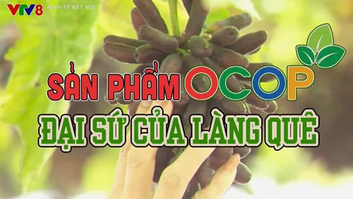Tiêu điểm: Sản phẩm OCOP - Đại sứ của làng quê 