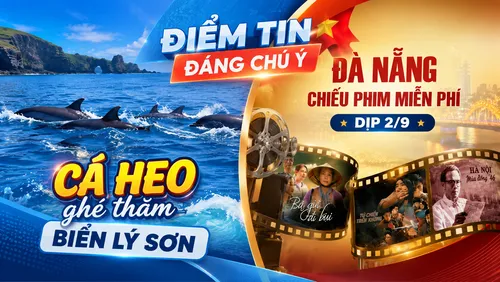 Điểm tin Chạm và lướt: Khoảnh khắc đán cá heo lướt sóng Lý Sơn; Đà Nẵng khởi chiếu chuỗi phim điện ảnh miễn phí