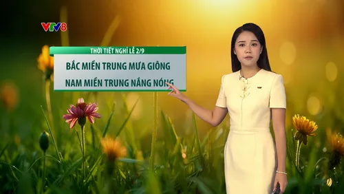 Dự báo thời tiết 26/08/2026: Miền Trung nắng nóng gay gắt, Hà Nội & TP.HCM đề phòng mưa giông