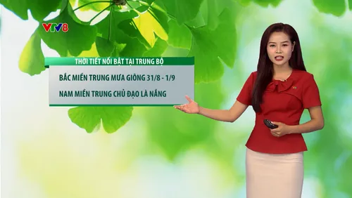 Dự báo thời tiết kỳ nghỉ lễ 2/9:  Địa điểm nào phù hợp để ngắm pháo hoa và du lịch với thời tiết lý tưởng? 