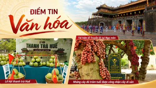 Điểm tin Văn hóa 29/08: Tái hiện lễ Truyền lô tại Ngọ Môn; Thưởng thức bưởi tiến vua Thanh Trà; Khám phá cây đỏ di sản trăm tuổi 