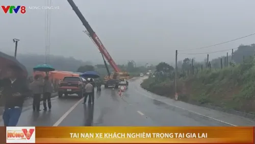 ⚠️  Thông tin cập nhật về vụ xe khách bị lật ở Gia Lai, hiện đã có 4 người tử vong 