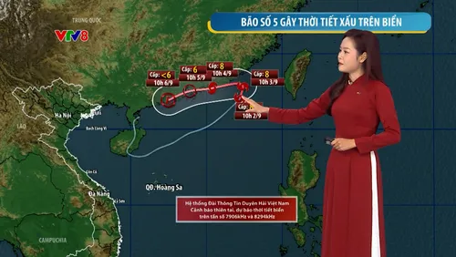 Dự báo thời tiết 02/09/2026: Cảnh báo Bão số 5 gây biển động mạnh, trên đất liền miền Trung nắng nóng  