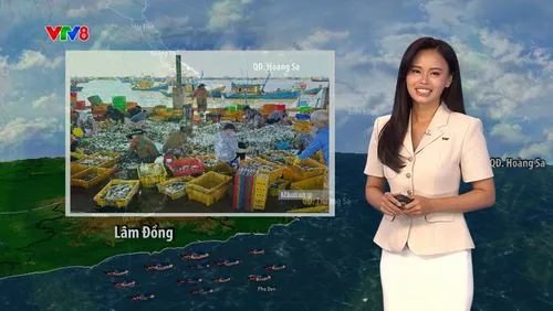  THỜI TIẾT BIỂN ( Ngày 15/09) Thời tiết vùng biển Nam Bộ trái ngược khu vực Bắc Trung Bộ, cảnh báo gió giật cấp 7-8