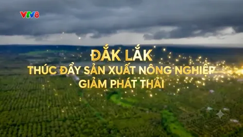 Nông nghiệp xanh: Đắk Lắk thúc đẩy sản xuất nông nghiệp giảm phát thải