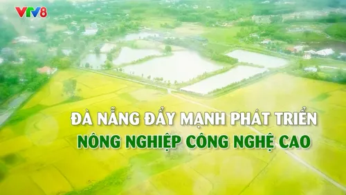 Nông sản kể chuyện: Đà Nẵng đẩy mạnh phát triển nông nghiệp công nghệ cao