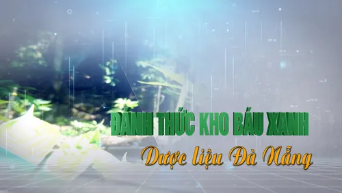 Nông sản kể chuyện: Đánh thức kho báu xanh dược liệu Đà Nẵng