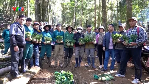 Phóng sự: Kiến tạo sinh kế cho đồng bào vùng cao