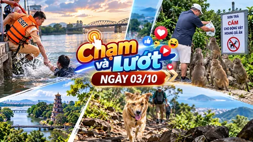 Chạm và lướt trên VTV8: CSGT lao xuống sông Hương cứu người, bất chấp biển cấm vẫn cho khỉ Sơn Trà ăn, chú chó dẫn khách leo núi