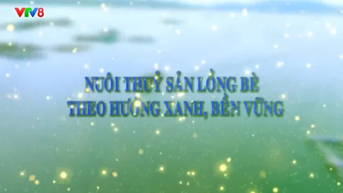 🐟 Nông nghiệp xanh: Nuôi thủy sản lồng bè theo hướng xanh, bền vững