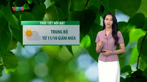 Bản tin thời tiết du lịch ngày 09/10: Miền Trung giảm mưa, Bắc Trung Bộ đề phòng mưa lớn
