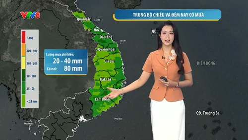 Bản tin thời tiết ngày 12/10: Mưa Trung Bộ giảm dần, biển từ Quảng Trị đến Cà Mau đề phòng dông mạnh