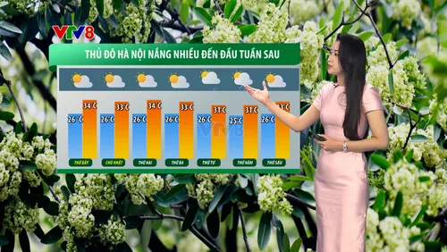 Thời tiết du lịch cuối tuần: Miền Trung nắng đẹp, mưa lớn có thể trở lại từ 20/10