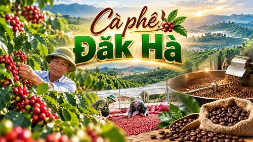 Nông sản kể chuyện: Cà phê Đắk Hà