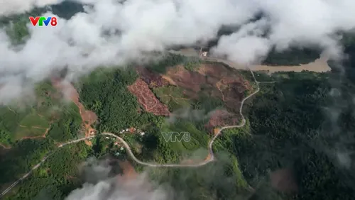 Phóng sự: Vá rừng từ nguồn tài chính xanh