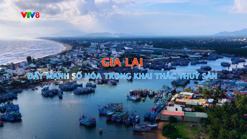  Phóng sự : Gia Lai - Đẩy mạnh số hóa trong khai thác thủy sản