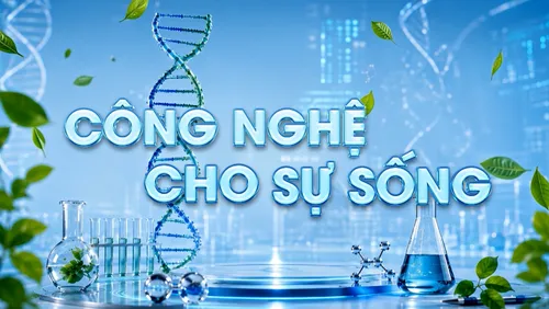 Công nghệ cho sự sống: Phẫu thuật bắc cầu mạch vành tim (OPCAB)