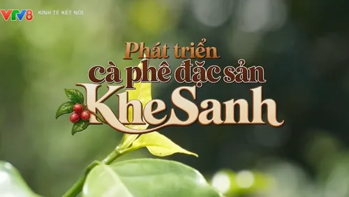 Phát triển cà phê đặc sản Khe Sanh