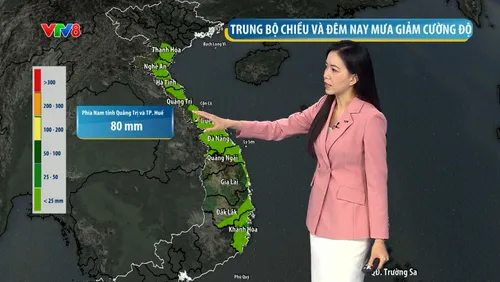 Dự báo thời tiết ngày 29/10: Trung bộ giảm mưa, vùng biển tiếp tục cảnh báo gió giật mạnh