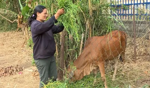 Nguồn vốn chính sách - “điểm tựa” của đồng bào dân tộc thiểu số