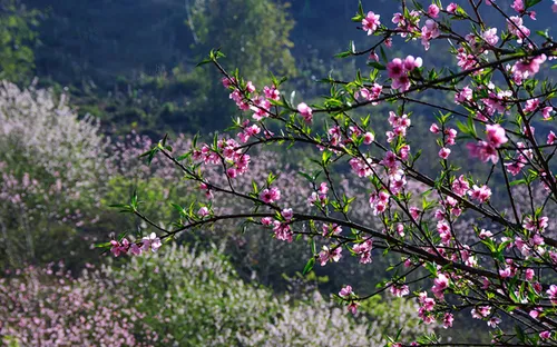Những điểm đến lý tưởng cho tháng 1