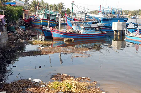 Bình Định: Ngư dân khó khăn vì cửa biển bị lồi lấp