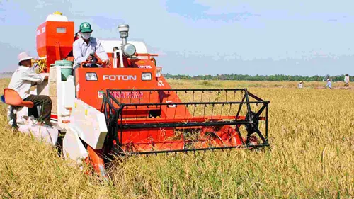 Thành tựu xóa đói giảm nghèo của Việt Nam