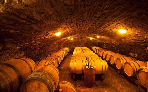 Serbia: Nghề làm rượu vang truyền thống trên đà phục hồi