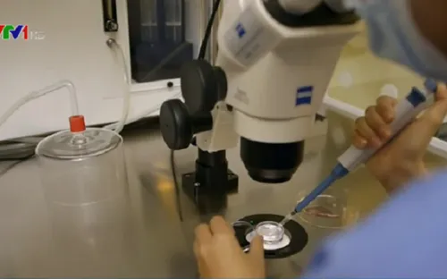 Điều trị hiếm muộn: Cần đúng quy trình