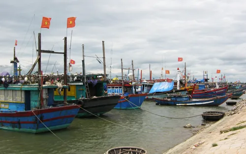 Phú Yên: Thiếu hợp lý trong quy hoạch khu neo đậu tàu thuyền