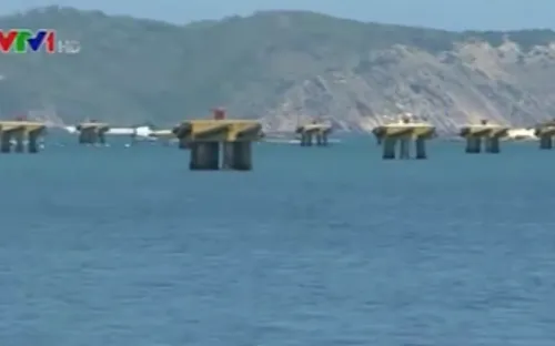 Lãng phí hàng trăm trụ neo tiền tỷ tại Phú Yên