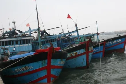 Nhiều tàu cá ngừ chuyển nghề khai thác tại Nam Trung Bộ