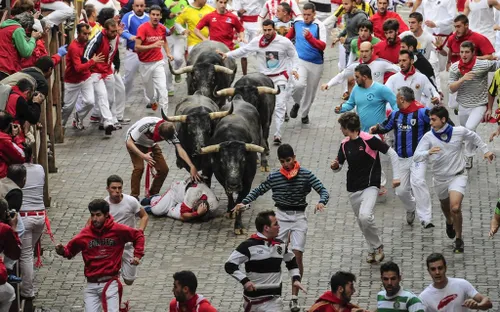 Những lễ hội chen lấn, tranh giành nhau trên thế giới