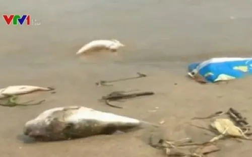 Đoàn kiểm tra liên ngành kết thúc đợt làm việc tại Vũng Áng