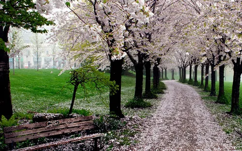 Xao xuyến trước những con đường đẹp đầy huyền ảo