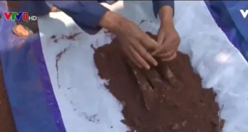 Quảng Trị: Quy tập 5 hài cốt liệt sĩ