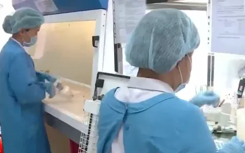 Xét nghiệm khoảng 1.600 mẫu nghi nhiễm virus Zika tại TP.HCM