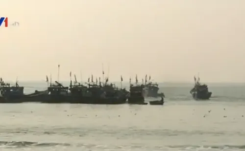 Ngư dân Đà Nẵng ra quân đánh bắt hải sản